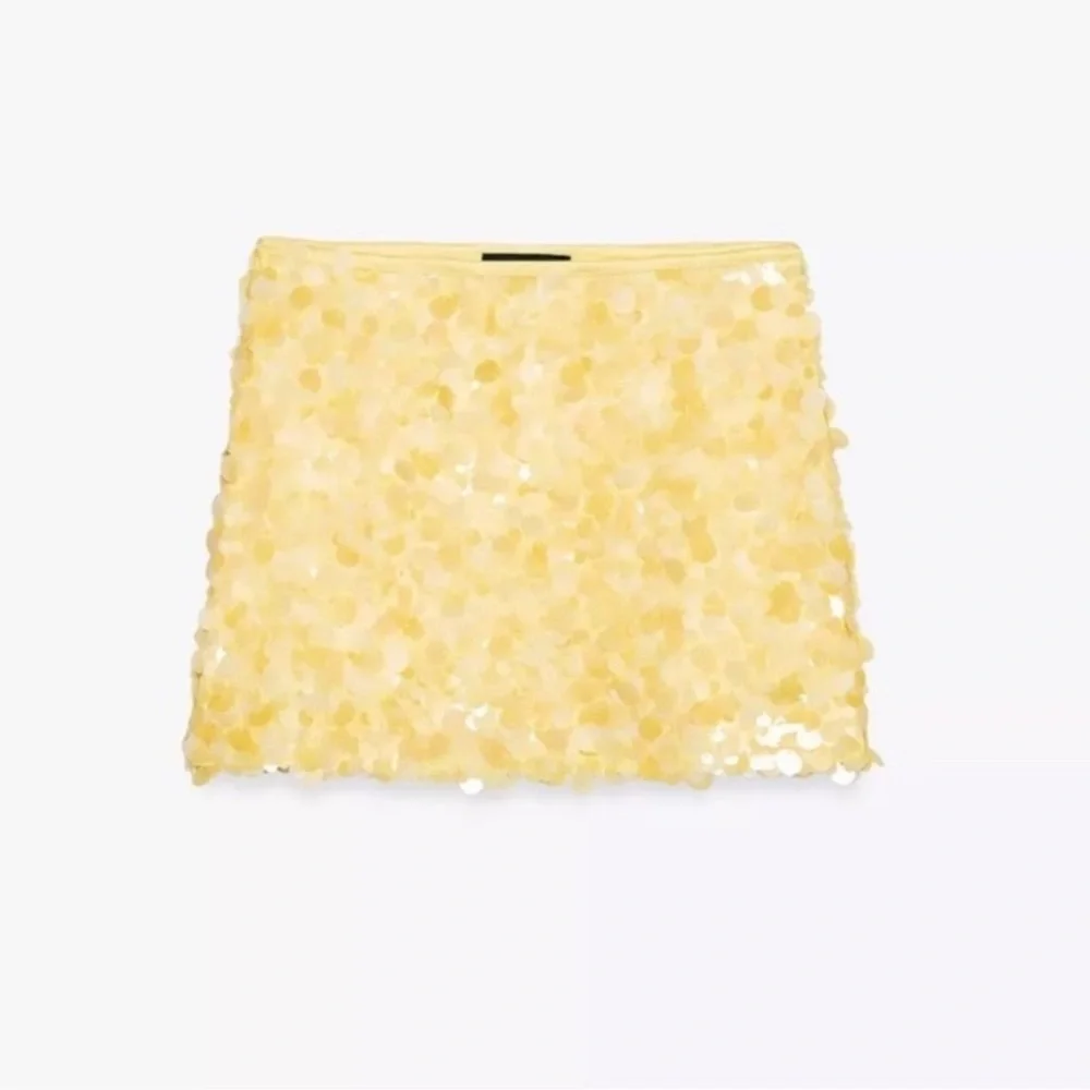 Zara ZW Collection Sequin Skirt